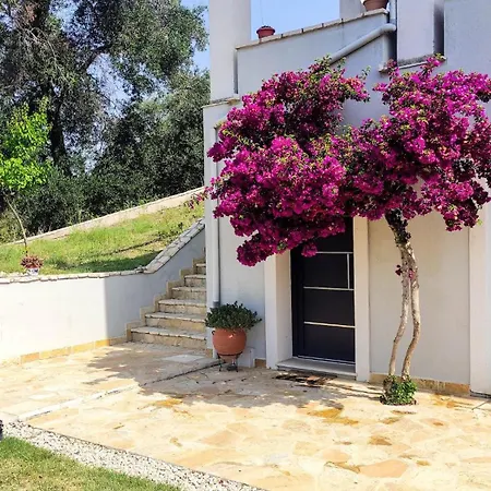 Corfu Lavender Ájosz Prokópisz