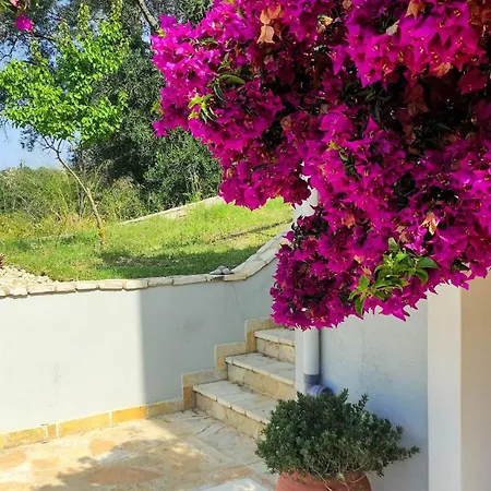Corfu Lavender Apartman Ájosz Prokópisz