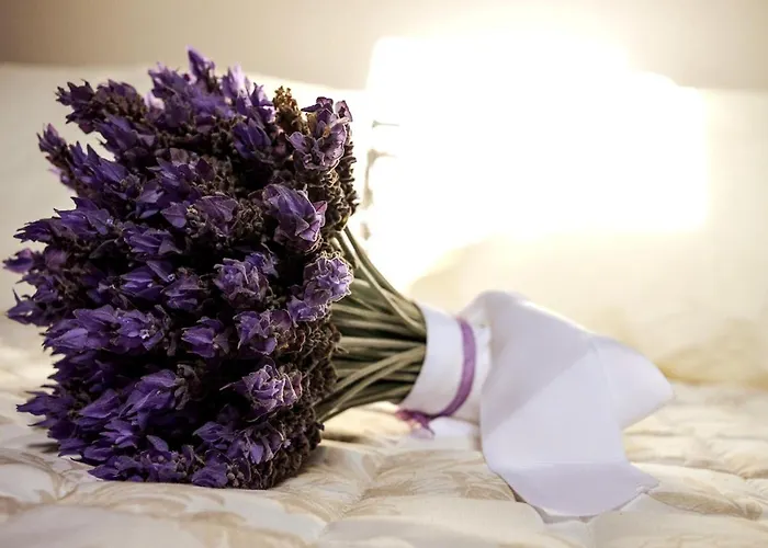 Corfu Lavender Lejlighed