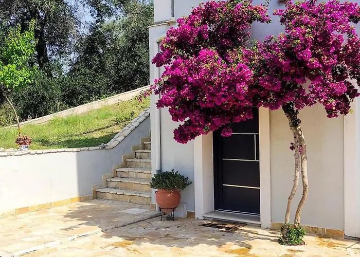 Corfu Lavender Agios Prokopios (Corfu)