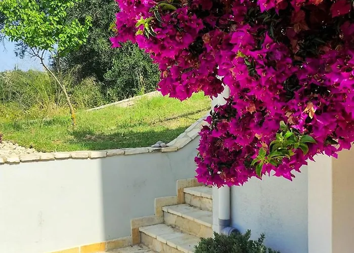 Corfu Lavender Lejlighed Agios Prokopios (Corfu)